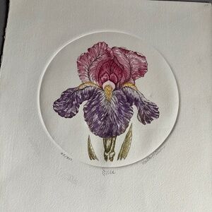 Iris etching signed/numbered Martha Hinson